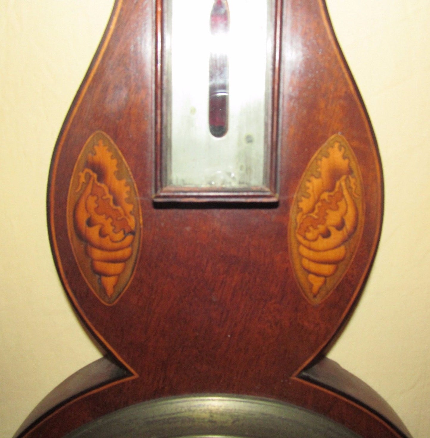 FINELY INLAID EARLY 19TH CENTURY BAROMETER WITH CONCH SHELLS & SEA ANEMONE