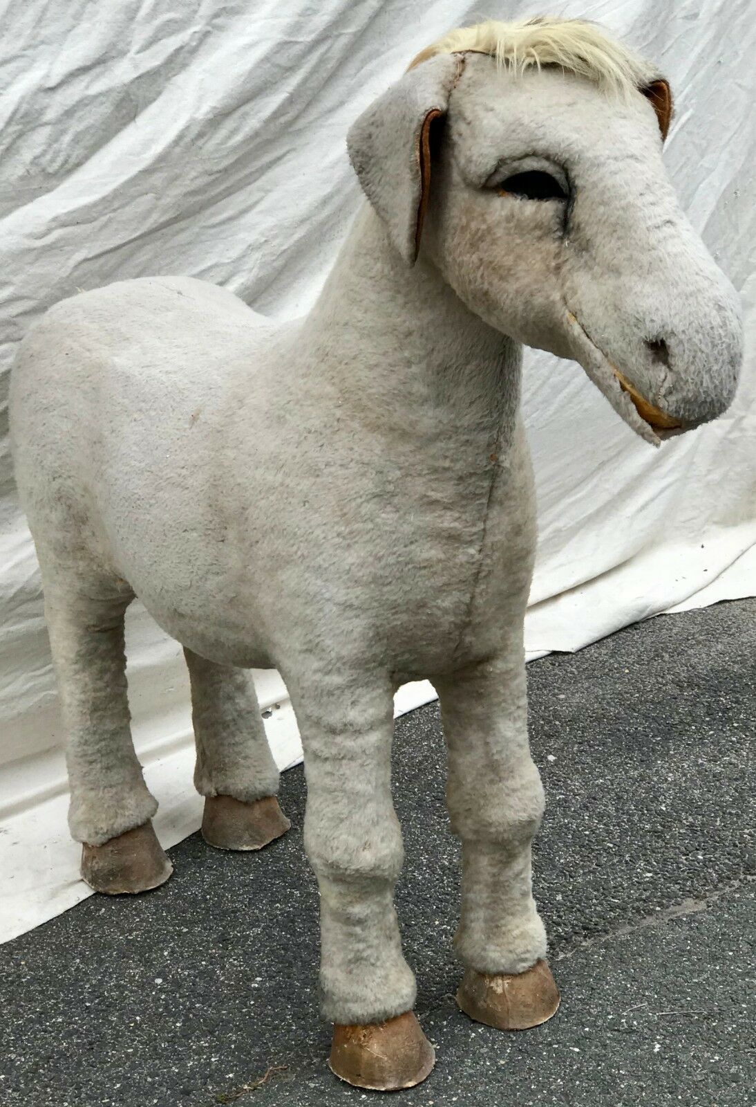EARLY 20TH C BARNUM & BAILEY LIFE SIZE DONKEY CIRCUS ODDITY