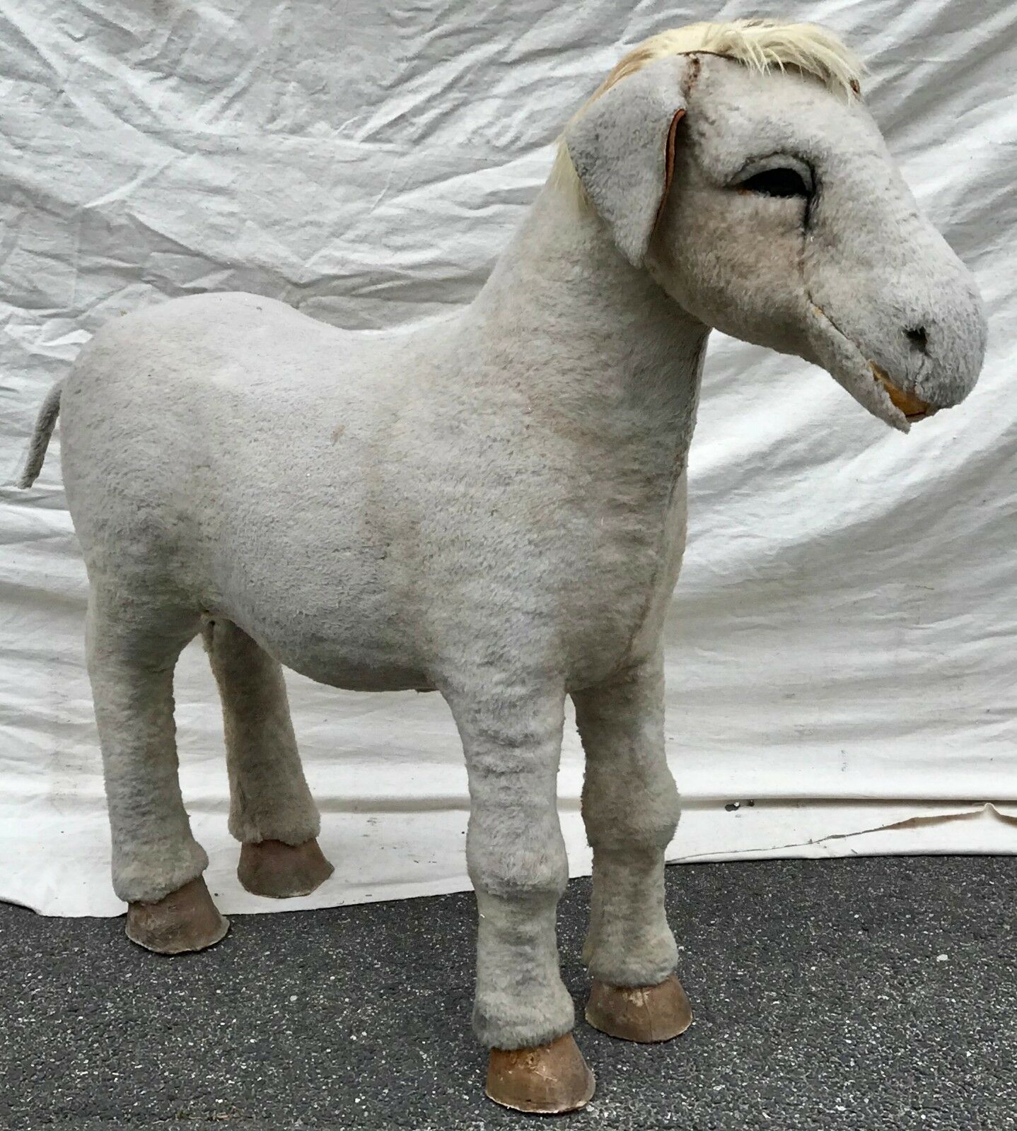 EARLY 20TH C BARNUM & BAILEY LIFE SIZE DONKEY CIRCUS ODDITY