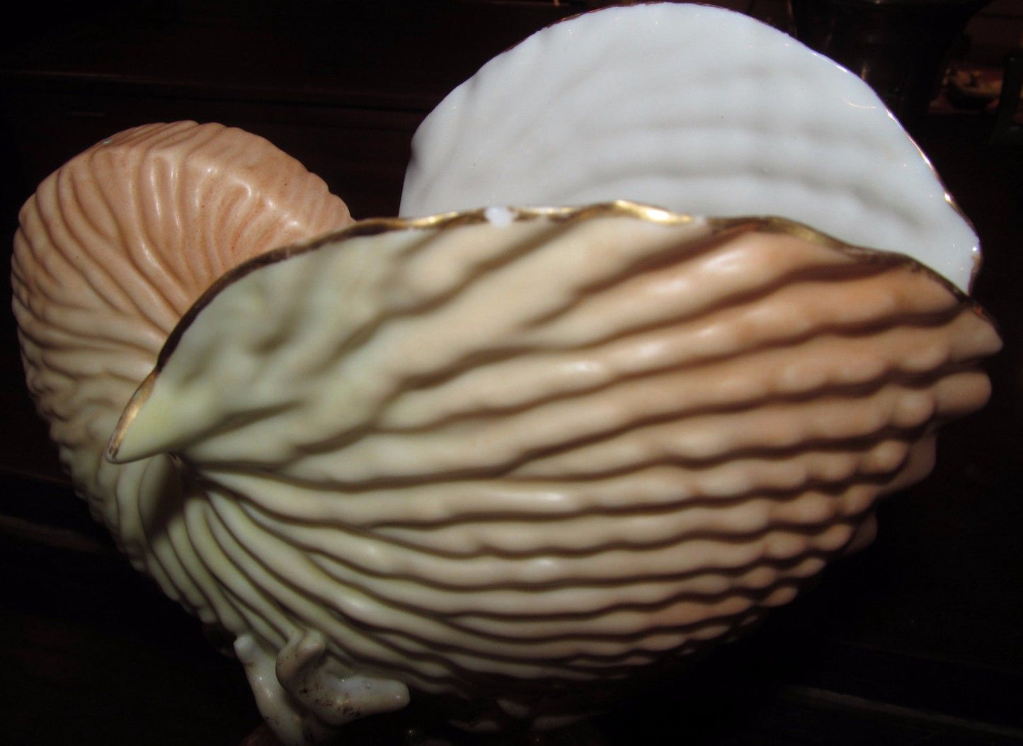 PAIR OF ANTIQUE ROYAL WORCESTER NAUTILUS SHELL FORMED VASES