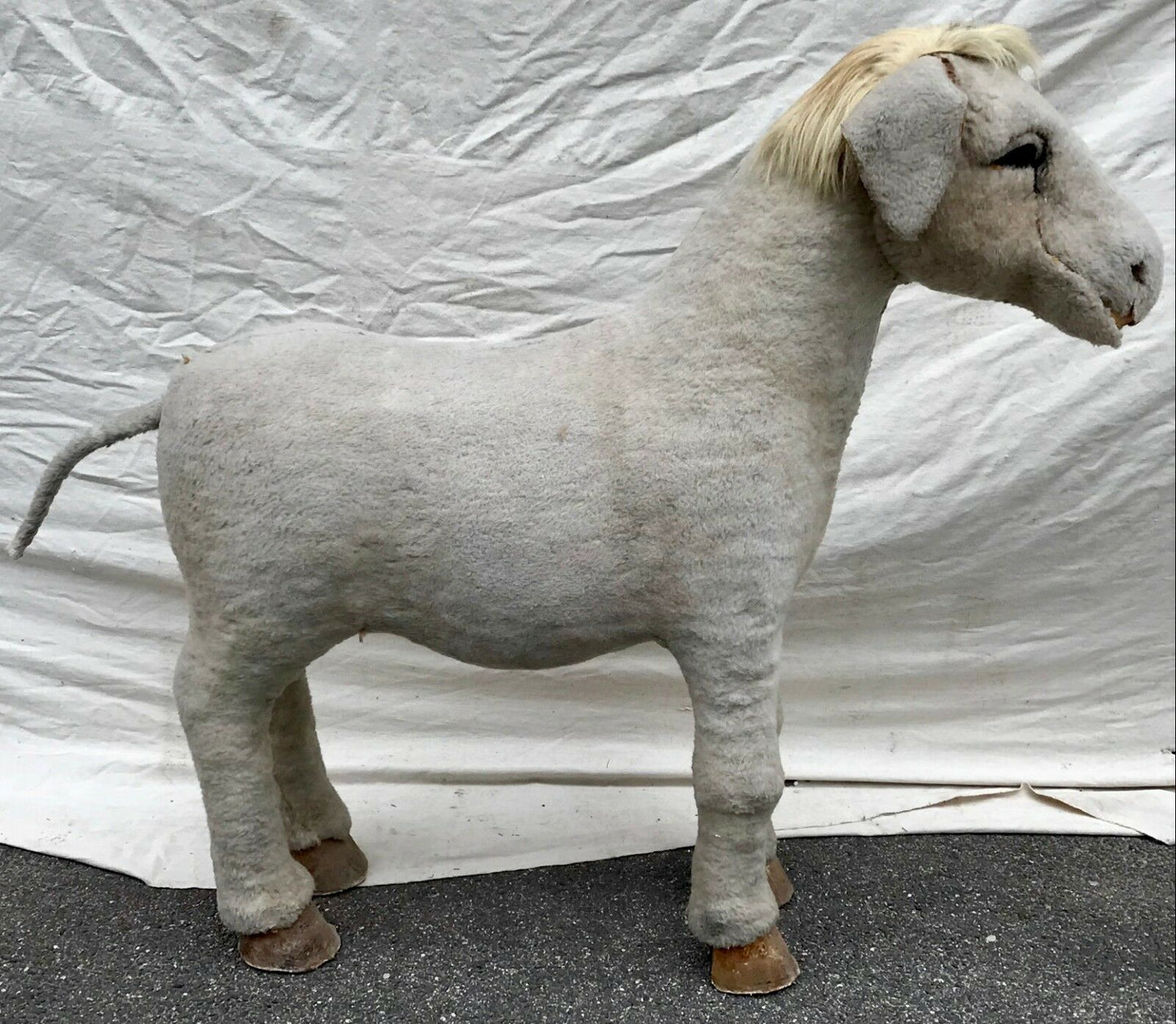 EARLY 20TH C BARNUM & BAILEY LIFE SIZE DONKEY CIRCUS ODDITY