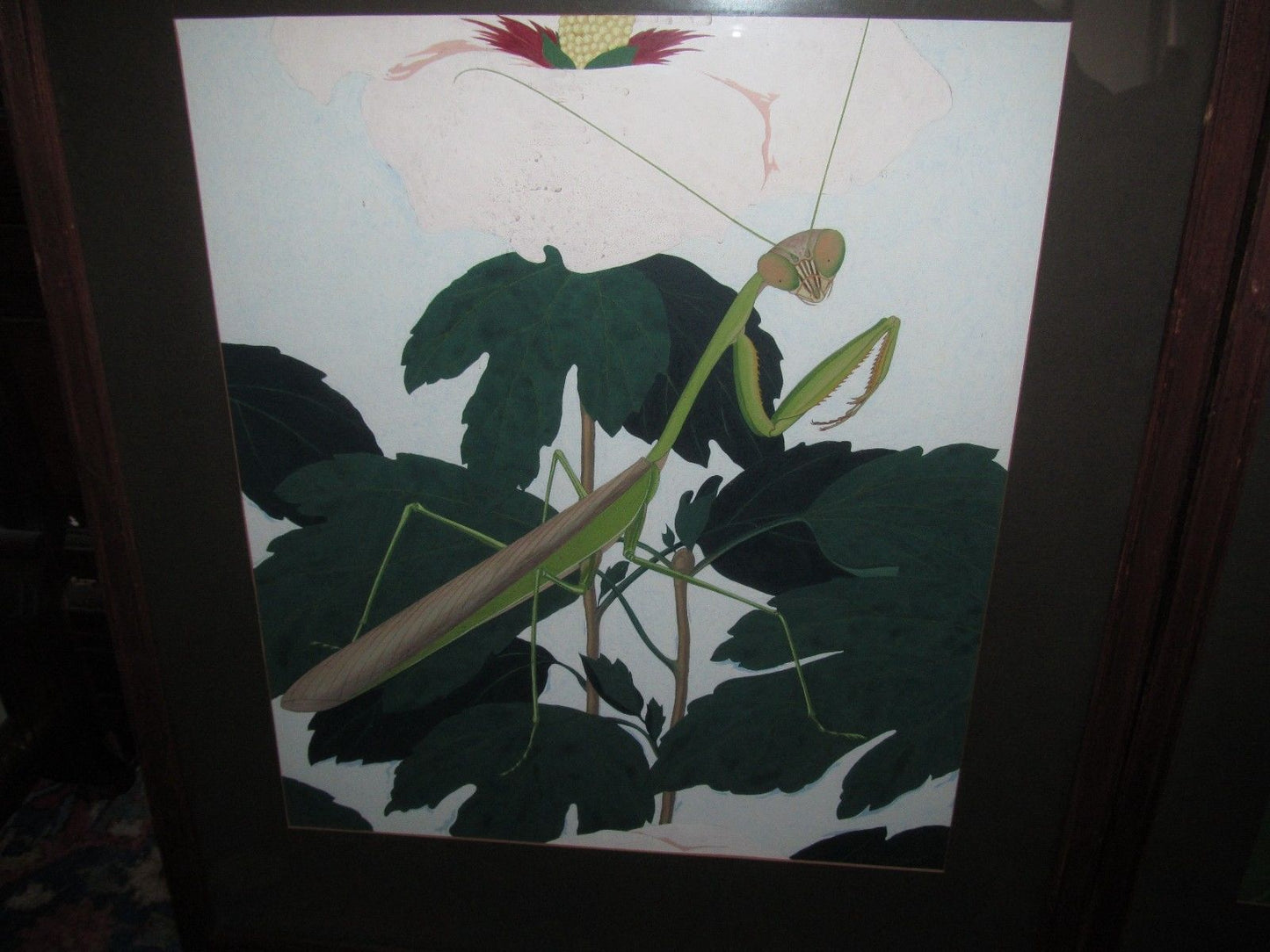 INTERESTING PAIR OF NATURALIST PAINTINGS OF WORKER BEE & PRAYING MANTIS