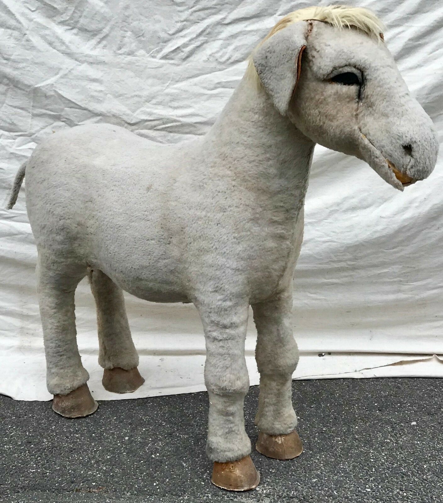 EARLY 20TH C BARNUM & BAILEY LIFE SIZE DONKEY CIRCUS ODDITY