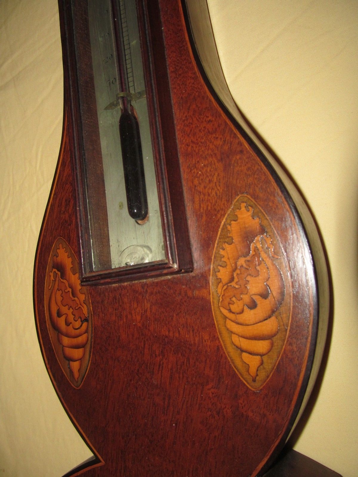 FINELY INLAID EARLY 19TH CENTURY BAROMETER WITH CONCH SHELLS & SEA ANEMONE