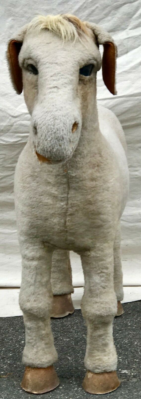 EARLY 20TH C BARNUM & BAILEY LIFE SIZE DONKEY CIRCUS ODDITY