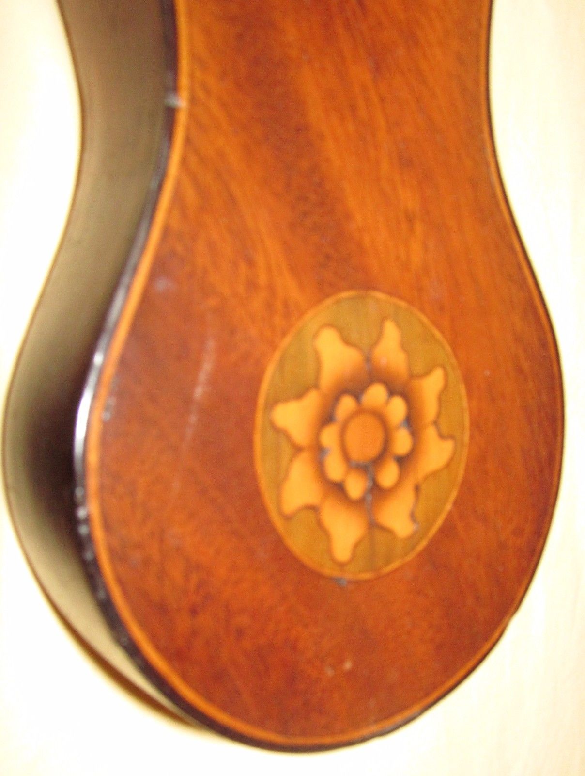 FINELY INLAID EARLY 19TH CENTURY BAROMETER WITH CONCH SHELLS & SEA ANEMONE