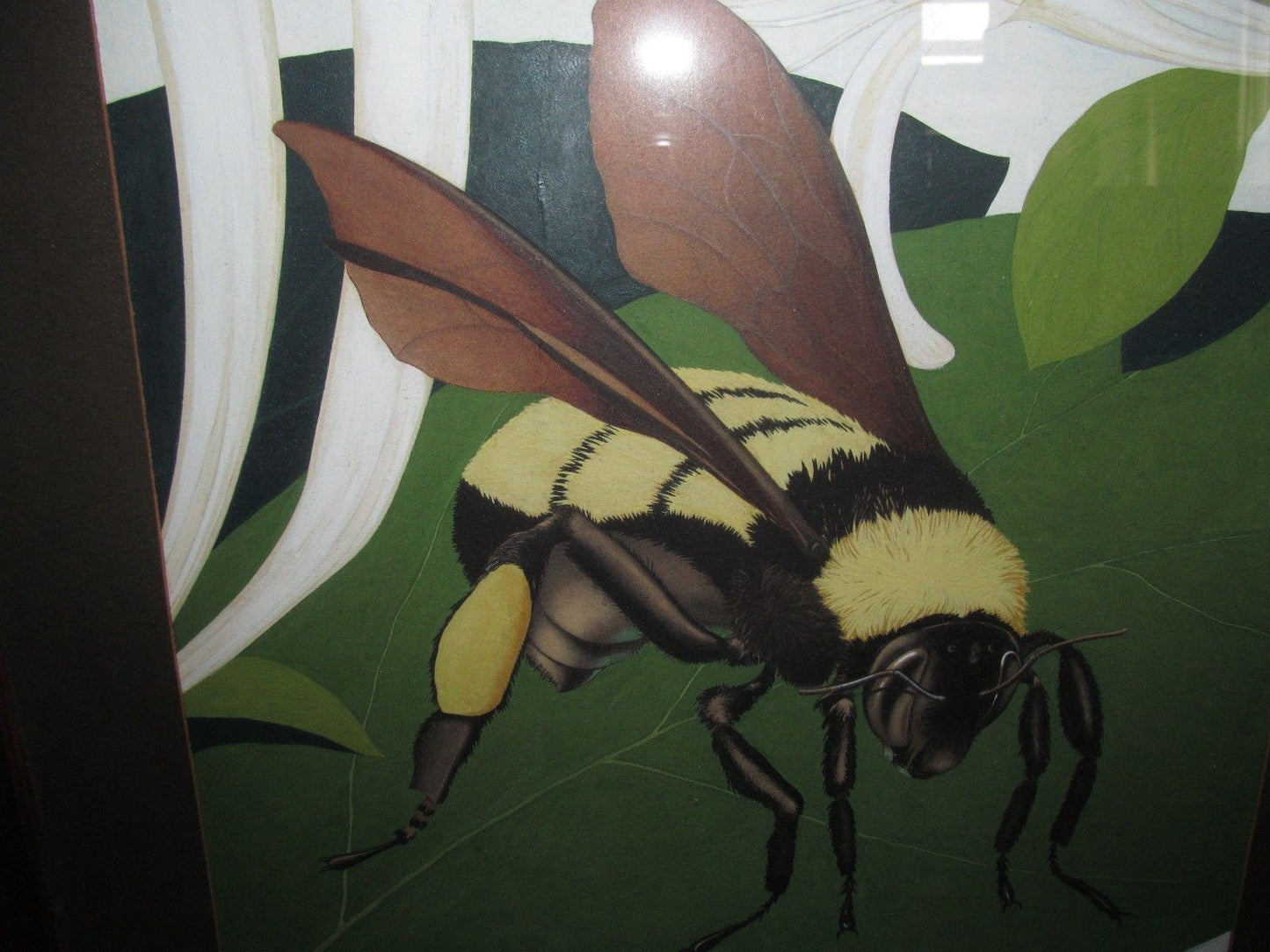 INTERESTING PAIR OF NATURALIST PAINTINGS OF WORKER BEE & PRAYING MANTIS