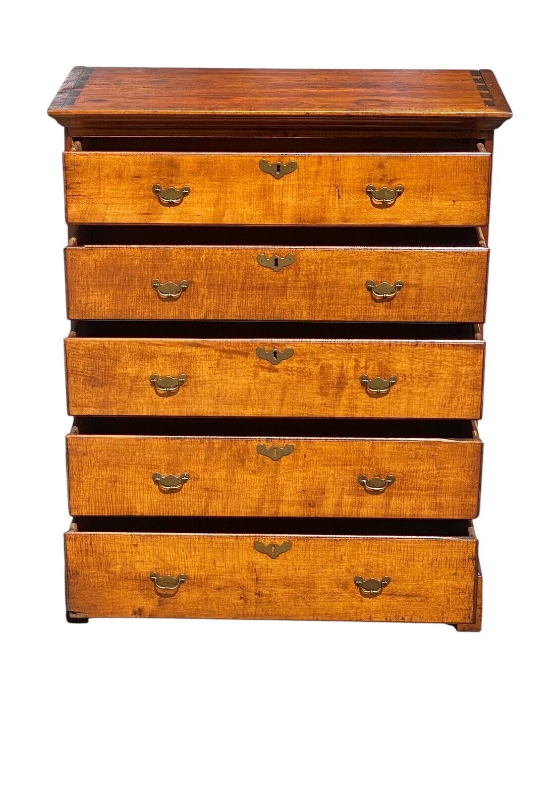 Antique New England Chippendale Tiger Maple Five Drawer Tall Chest Circa 1780 - Bay Colony Antiques Antiques:Furniture:Trunks & Chests