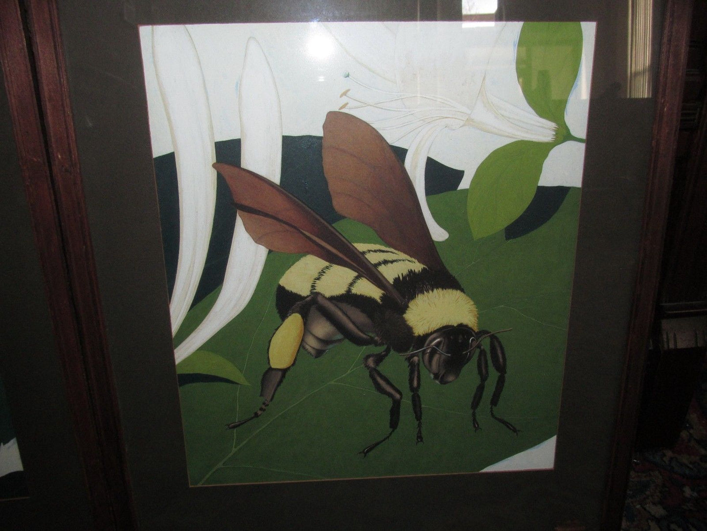 INTERESTING PAIR OF  NATURALIST PAINTINGS OF WORKER BEE & PRAYING MANTIS