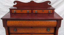 Load image into Gallery viewer, ULTRA CHOICE 1830 SHERATON BIRDS EYE MAPLE CHEST OF DRAWERS