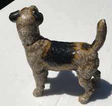 Load image into Gallery viewer, 20TH C ANTIQUE HUBLEY WIRE HAIR FOX TERRIER CAST IRON DOORSTOP / COIN BANK