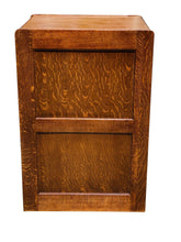 Load image into Gallery viewer, 19TH C ANTIQUE VICTORIAN TIGER OAK BLANK DOOR FILE CABINET ~ RARE FORMAT