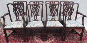 SET OF 8 CHIPPENDALE STYLED MAHOGANY DINING CHAIRS WITH CHAIN WORKED SEATS