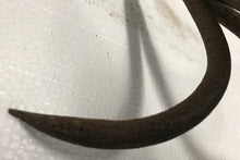 Load image into Gallery viewer, EARLY 19TH C. CAST IRON 4 PRONG GAME HOOK - KITCHEN IRON
