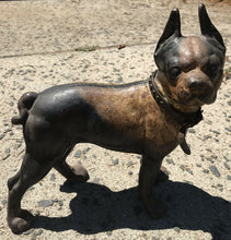 Load image into Gallery viewer, ANTIQUE HUBLEY CAST IRON BOSTON TERRIER DOORSTOP W/ ORIGINAL LEATHER COLLAR