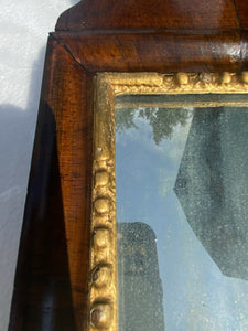 18th C Antique Queen Anne Mahogany Mirror W/ Gold Liner & Floral Crest ~ Tulip