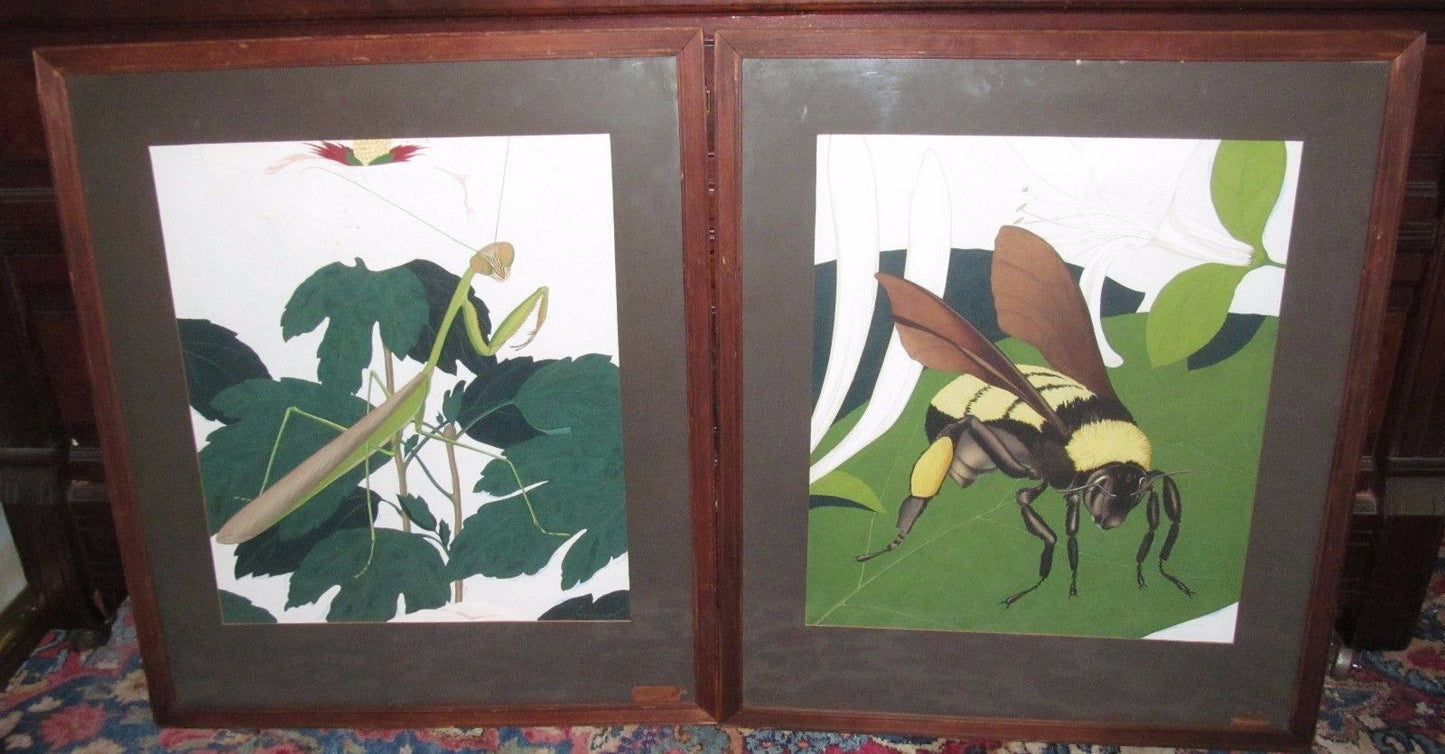 INTERESTING PAIR OF  NATURALIST PAINTINGS OF WORKER BEE & PRAYING MANTIS