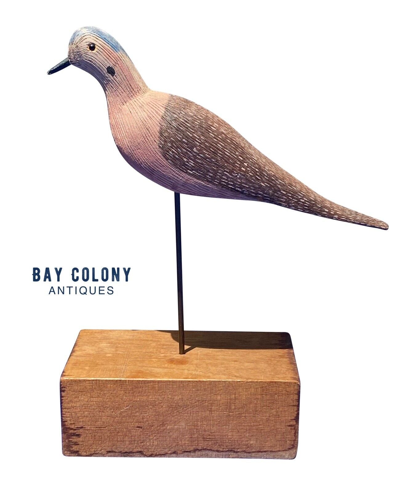 20th C Vintage Carved & Painted Shorebird / Decoy - Mourning Dove