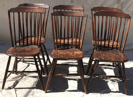 SET OF 6 PINE THUMB BACK COUNTRY PRIMITIVE ANTIQUE WINDSOR CHAIRS