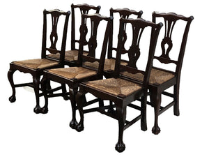 20TH C SET OF 6 CHIPPENDALE ANTIQUE STYLE BALL & CLAW DINING CHAIRS ~ RUSH SEATS