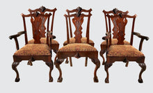 Load image into Gallery viewer, RARE &amp; UNUSUAL ANTIQUE SET OF SIX CHIPPENDALE MAHOGANY DINING BALL &amp; CLAW CHAIRS